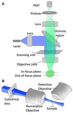 Three-Dimensional Imaging in Stem Cell-Based Researches